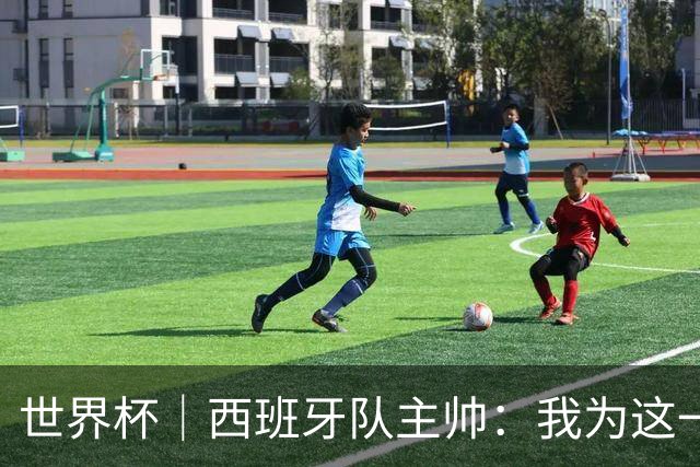 世界杯｜西班牙队主帅：我为这一代球员感到自豪