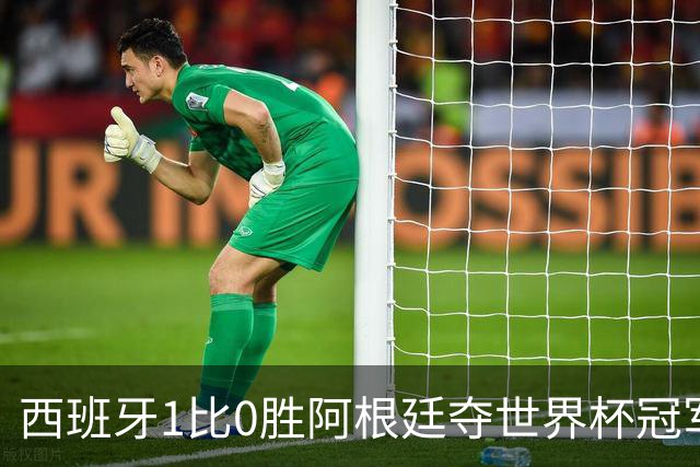 西班牙1比0胜阿根廷夺世界杯冠军，托雷斯加时绝杀